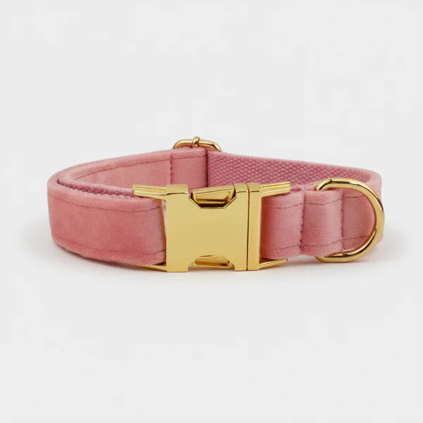 Collier chien en velours personnalisable rose avec boucle dorée et anneau d’attache