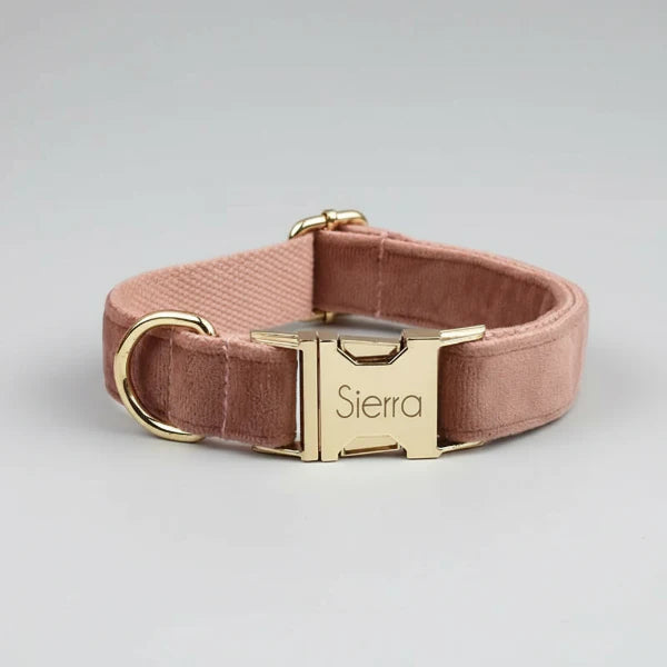 Collier chien en velours personnalisable couleur rose avec boucle dorée gravée Oscar et Plume