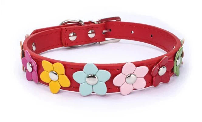 Collier chien fleurs rouge avec décorations florales colorées de la marque Oscar et Plume