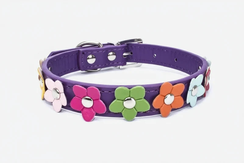 Collier chien fleurs multicolores en cuir violet par Oscar et Plume avec motifs fleurs décoratives