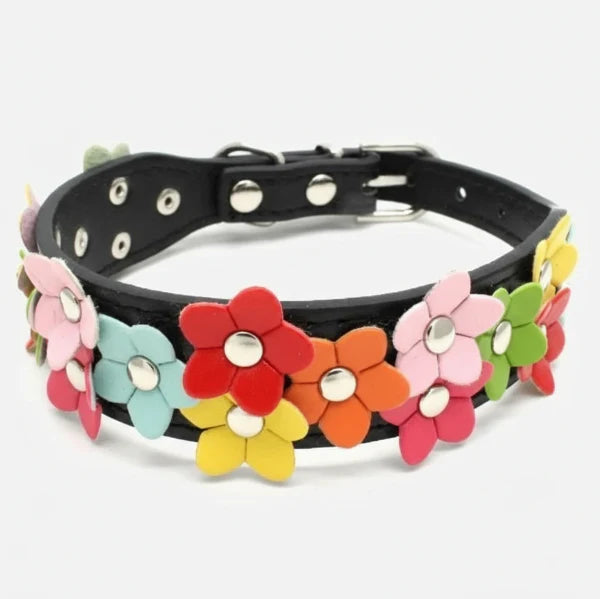 Collier chien fleurs en cuir noir avec décorations florales colorées Oscar et Plume