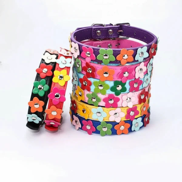 Collier Chien Résistant Motif Fleurs