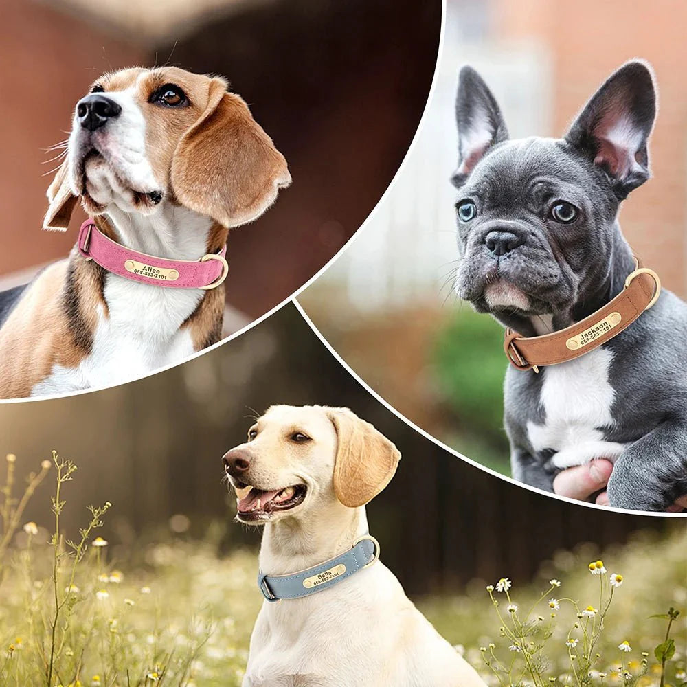 Collier personnalisé pour chien en simili cuir : sécurité, design et confort au quotidien