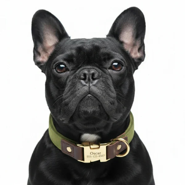 Collier Doux Personnalisable Pour Chien