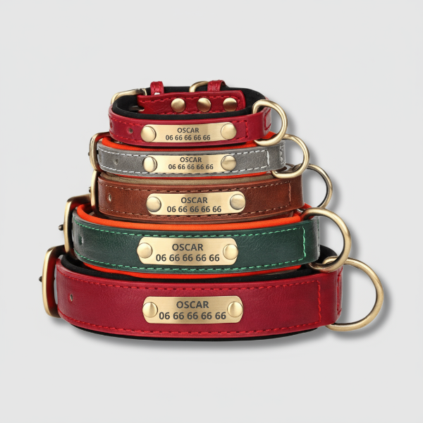 Collier personnalisé pour chien en simili cuir : sécurité, design et confort au quotidien