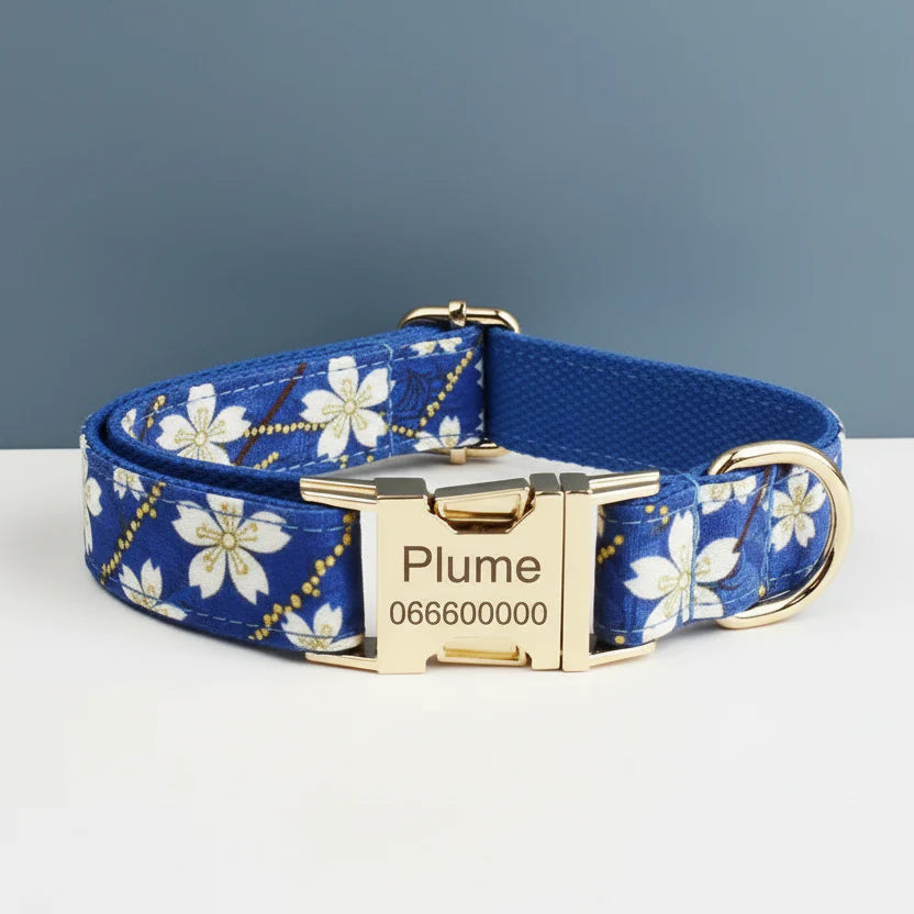 Collier, Harnais, Laisse Personnalisables Pour Chien