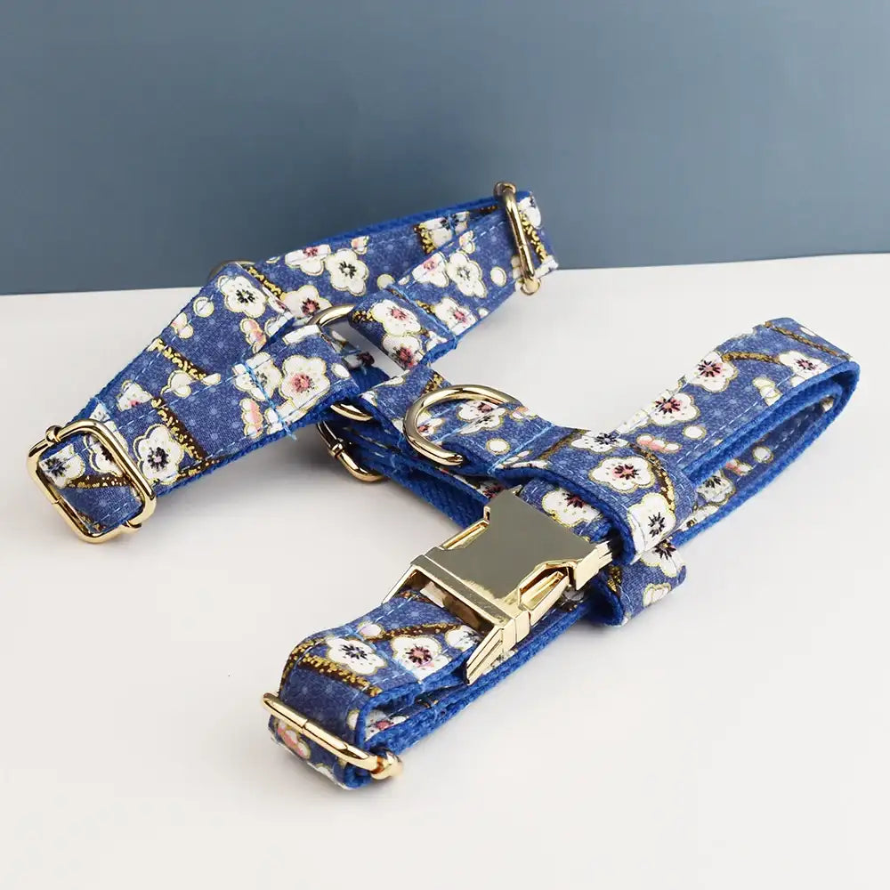 Collier, Harnais, Laisse Personnalisables Pour Chien