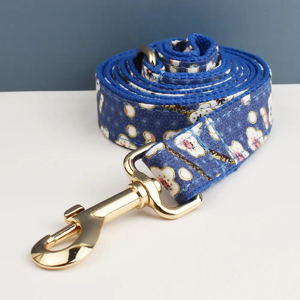 Laisse bleue avec motif coloré pour chien, parfaite avec un collier chien personnalisable