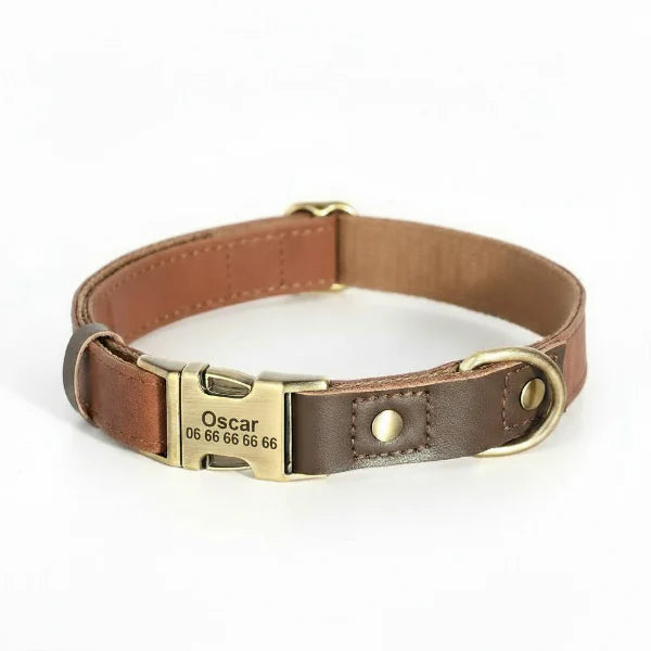collier chien personnalisable en cuir marron avec boucle laiton gravee nom Bella et numero de telephone