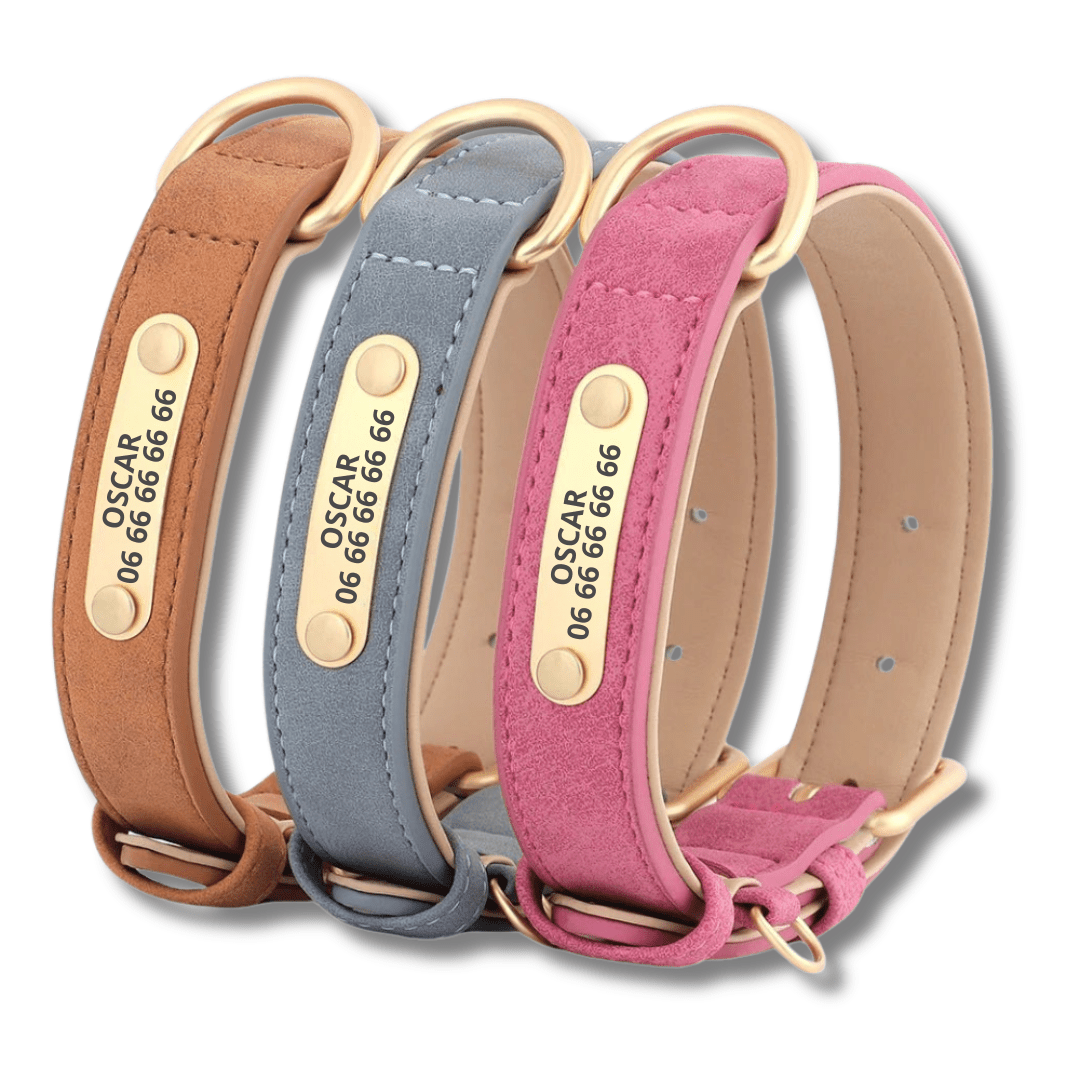 Collier personnalisé pour chien en simili cuir : sécurité, design et confort au quotidien