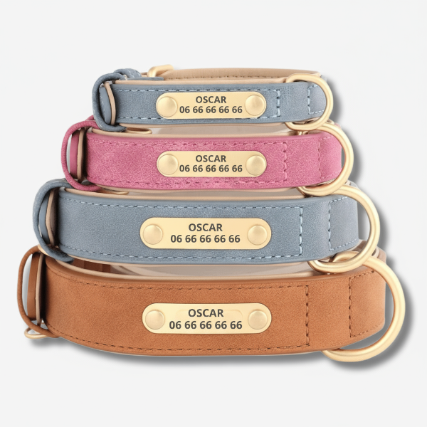 Collier personnalisé pour chien en simili cuir : sécurité, design et confort au quotidien