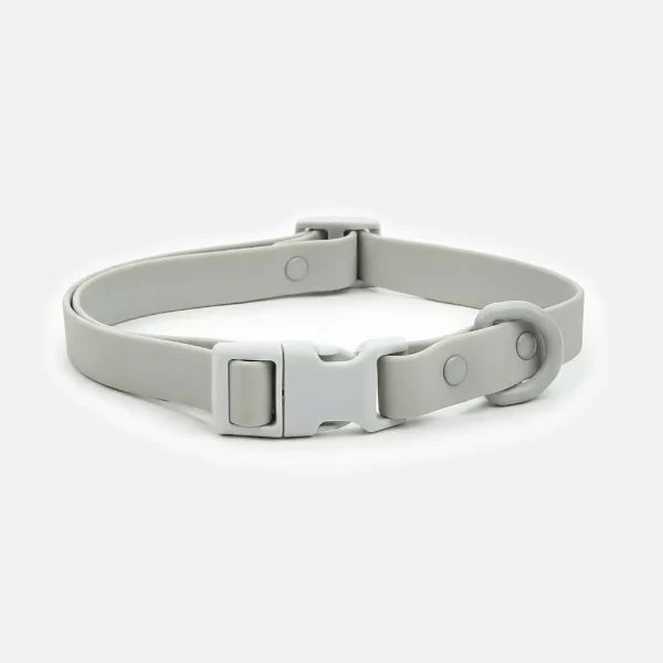 Collier chien PVC résistant gris clair avec boucle et anneau pour attache de laisse