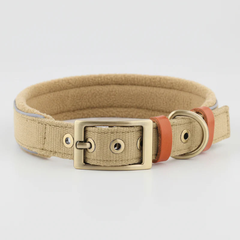 Collier chien réglable en coton avec boucle en métal doré, design chic et confortable
