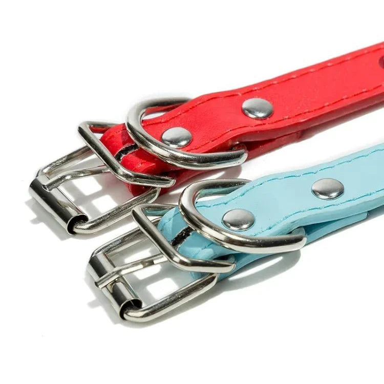 Collier clouté cuir pour chien - Style et qualité Oscar et Plume