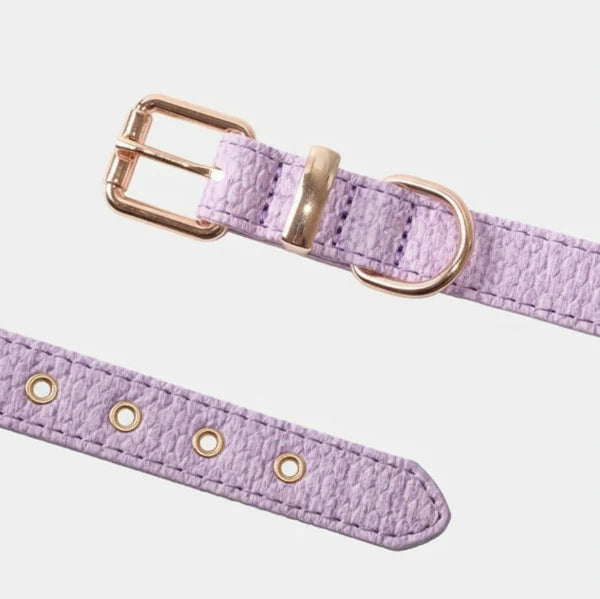 Collier Couture Chien Résistant Et Design