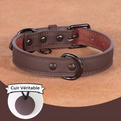 Collier cuir chien - ChicCollar™
