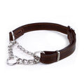Collier Cuir Chien Martingale