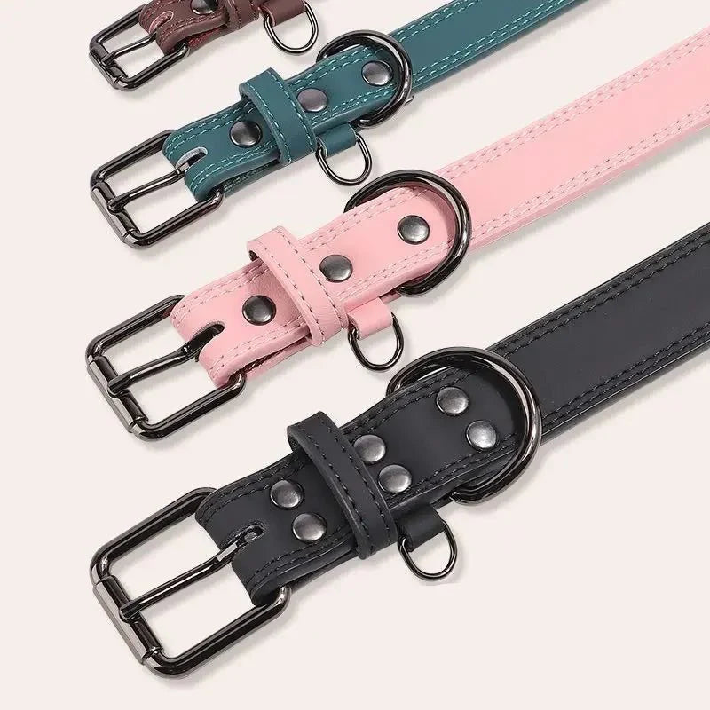 Collier Cuir Chien Élégant Et Résistant