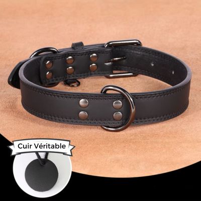 Collier cuir chien - ChicCollar™