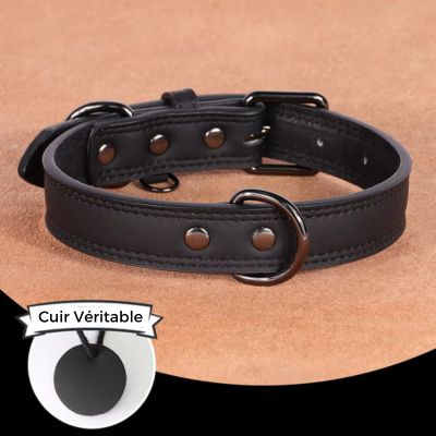 Collier cuir chien - ChicCollar™