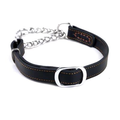 Collier Cuir Chien Martingale