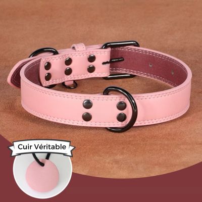 Collier cuir chien - ChicCollar™