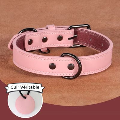 Collier cuir chien - ChicCollar™