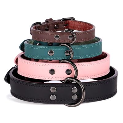 Collier cuir chien - ChicCollar™