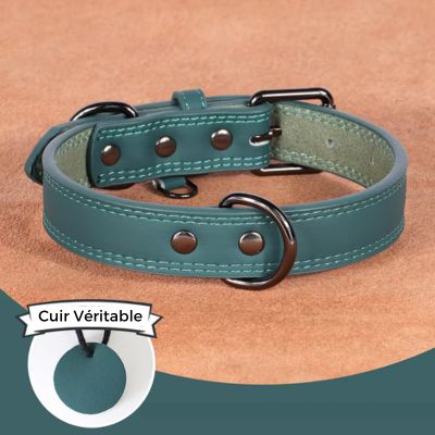 Collier cuir chien - ChicCollar™