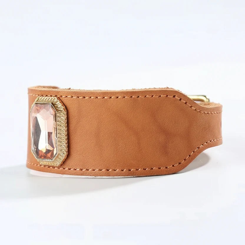 Colliers De Luxe En Cuir Pour Chien