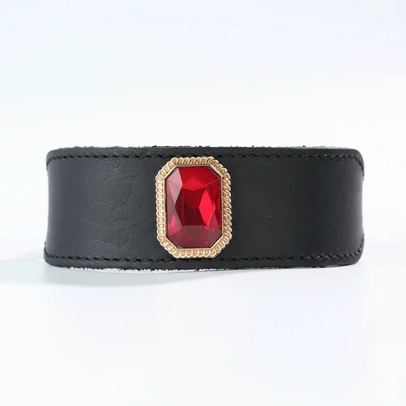 Collier de luxe pour chien en cuir noir avec une pierre précieuse rouge et un design élégant