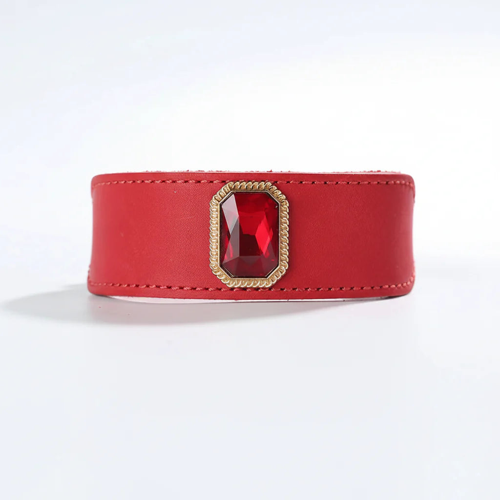 Collier de luxe pour chien en cuir rouge avec un élégant bijou en forme de gemme