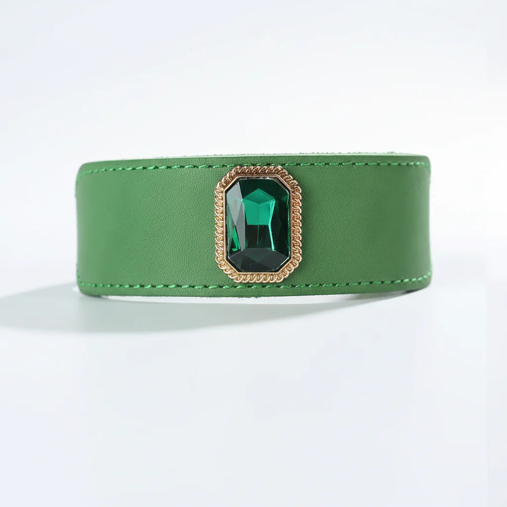 Collier de luxe pour chien en cuir vert avec un élégant bijou en pierre précieuse
