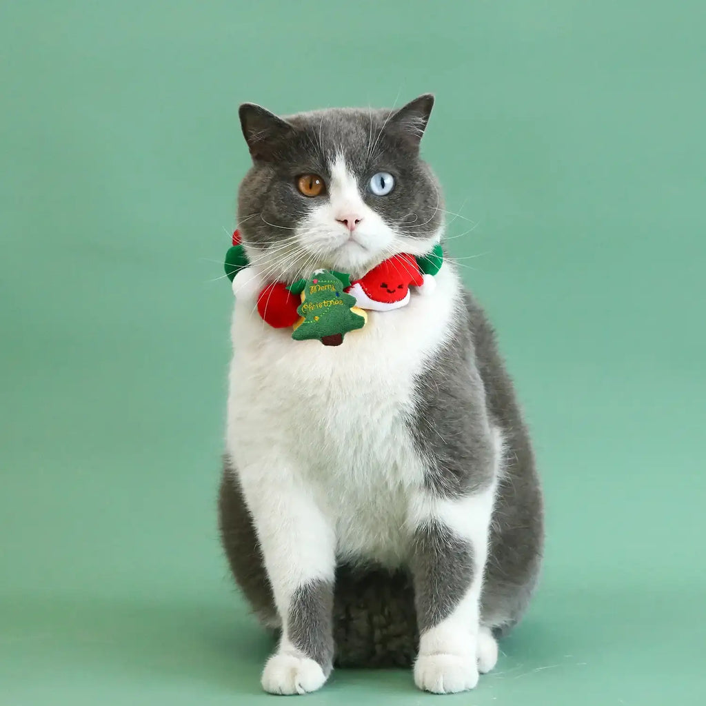 Collier De Noël En Boule De Peluche Pour Chat Et Chien