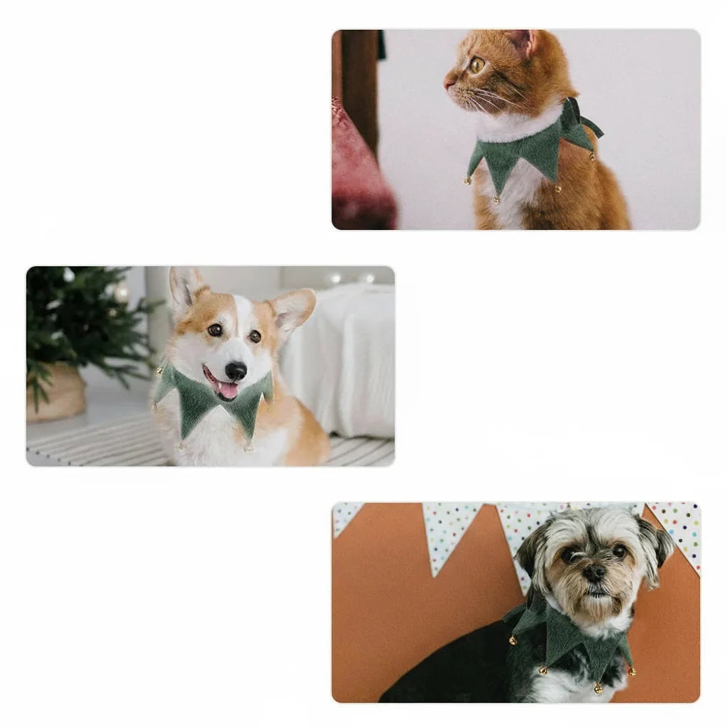 Collier De Noël Avec Clochettes Pour Chat Et Petit Chien