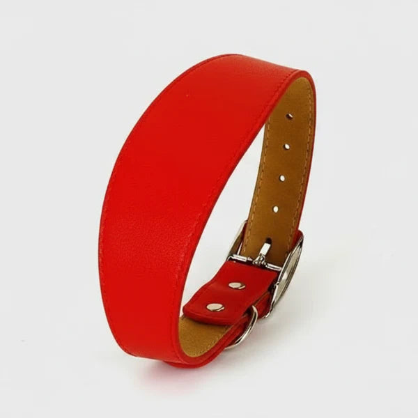 Collier design lévrier en cuir rouge avec boucle métallique ajustable par Oscar et Plume