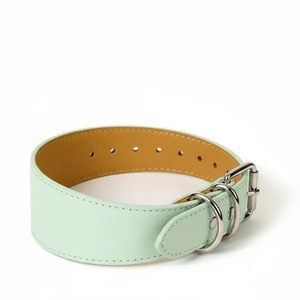 Collier design lévrier en cuir vert clair avec boucle métallique chez Oscar et Plume