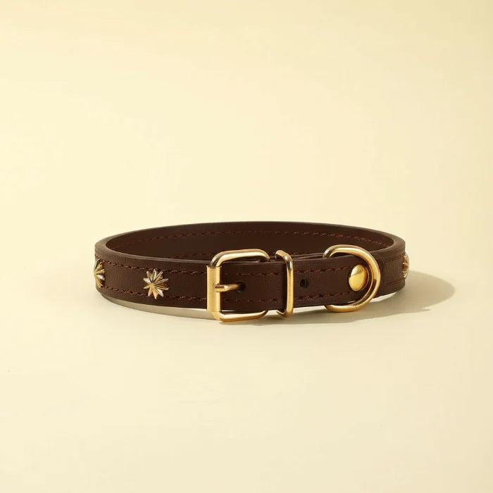 Collier design pour chat en cuir marron orné de petites étoiles dorées par Oscar et Plume