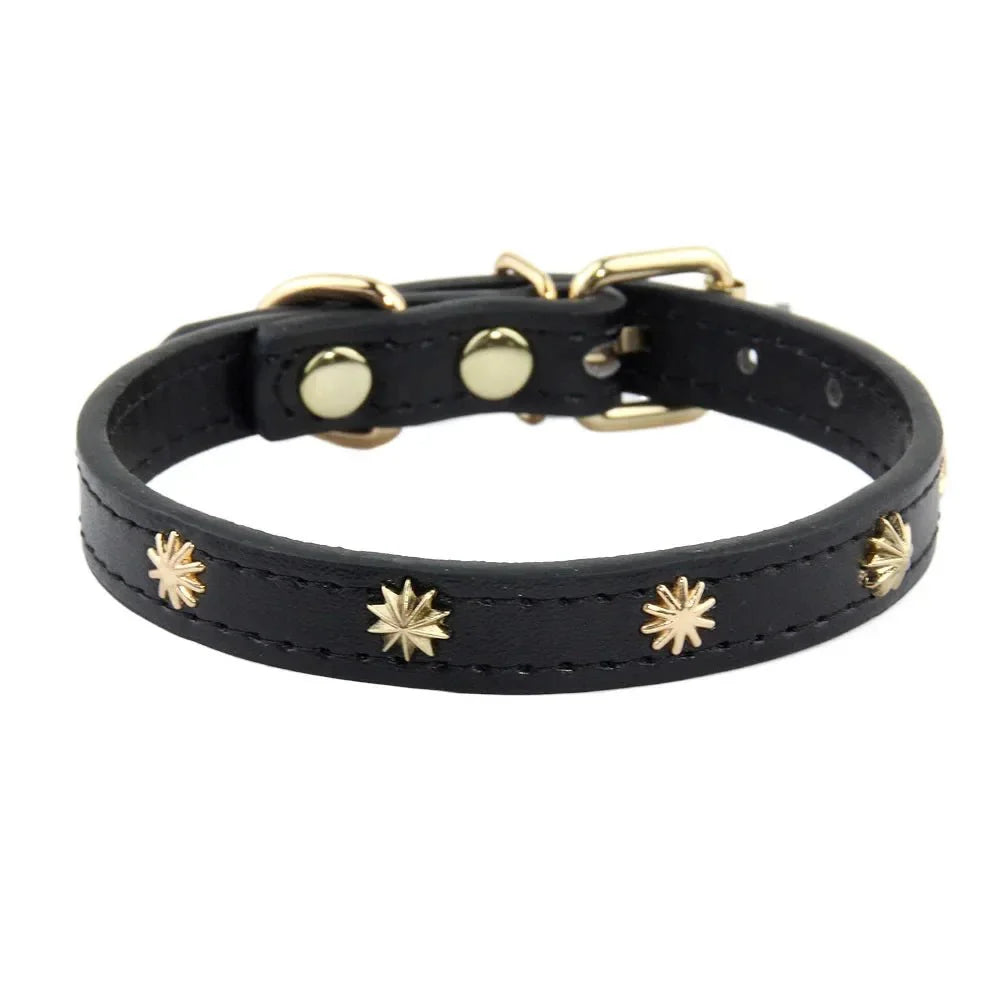 Collier Design Avec Rivets Pour Chat