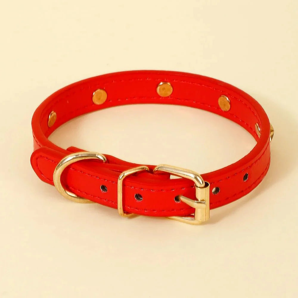 Collier Design Avec Rivets Pour Chat