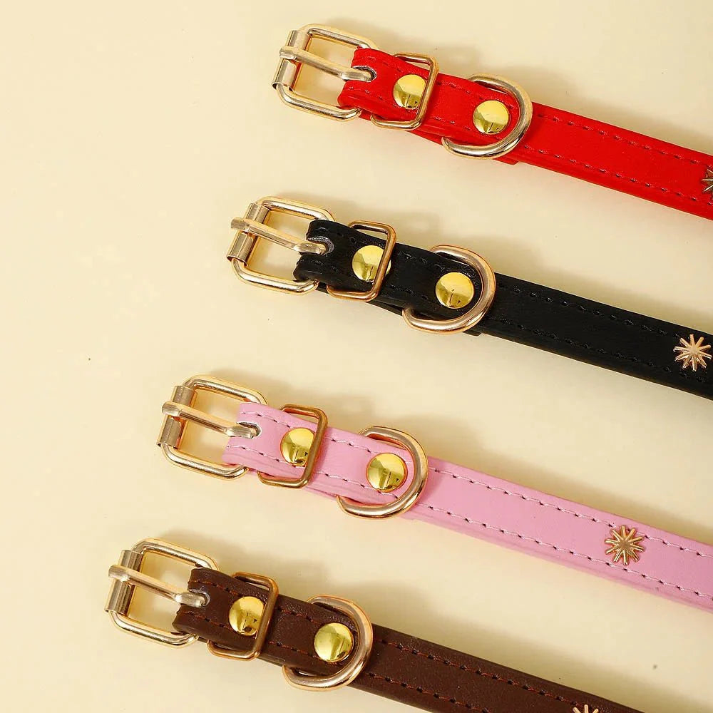 Collier Design Avec Rivets Pour Chat