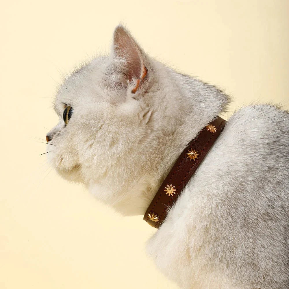 Collier Design Avec Rivets Pour Chat