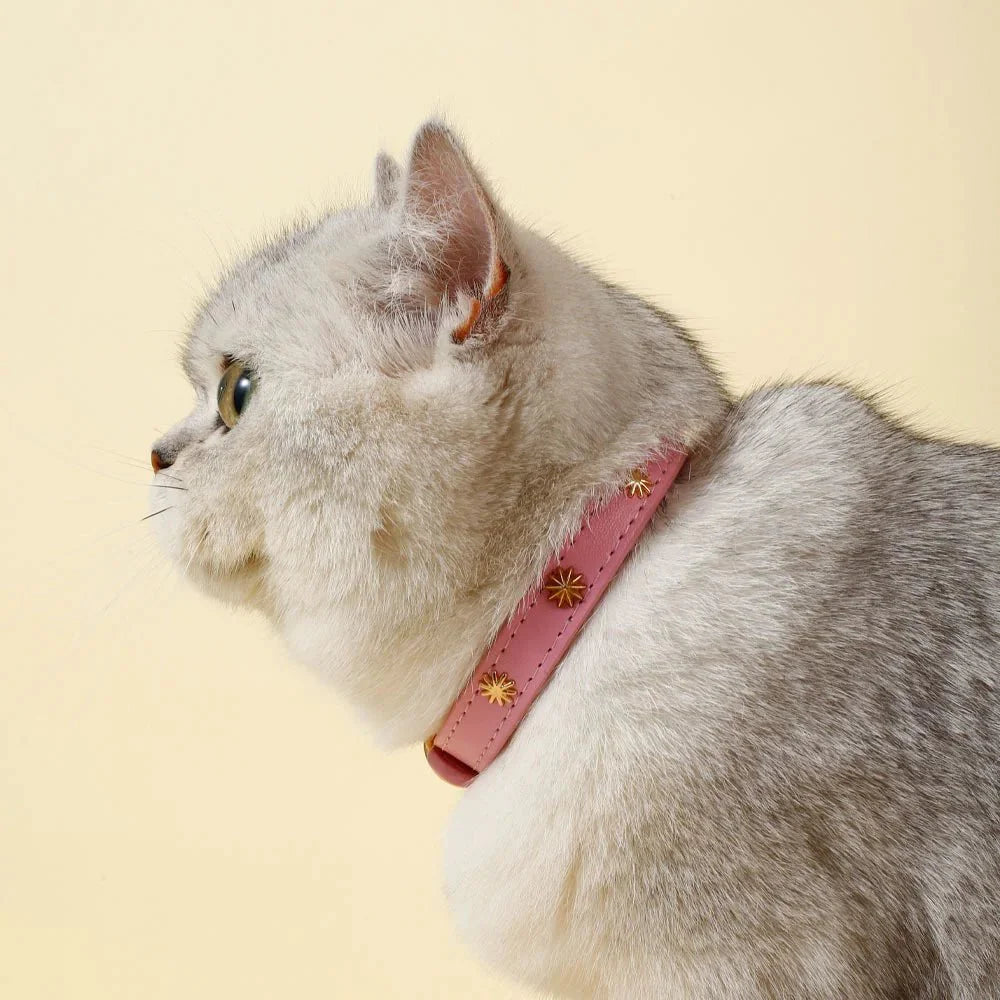 Collier Design Avec Rivets Pour Chat