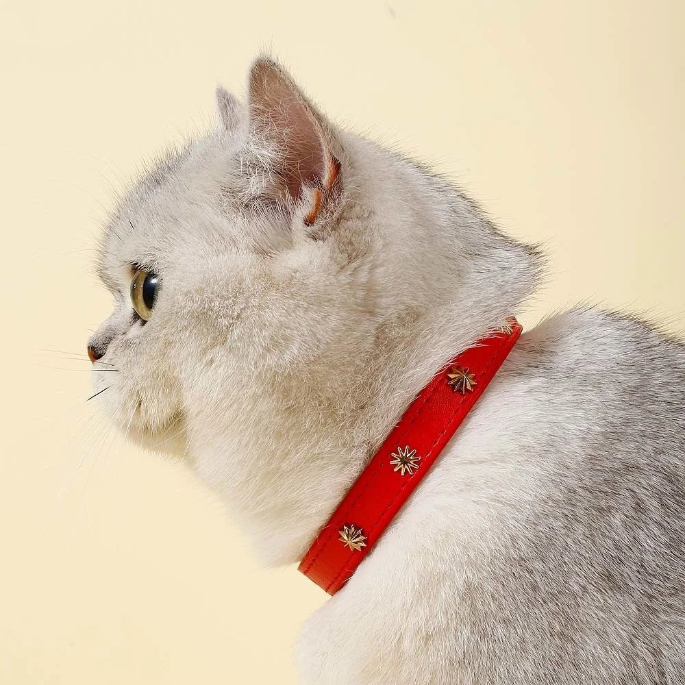 Collier Design Avec Rivets Pour Chat