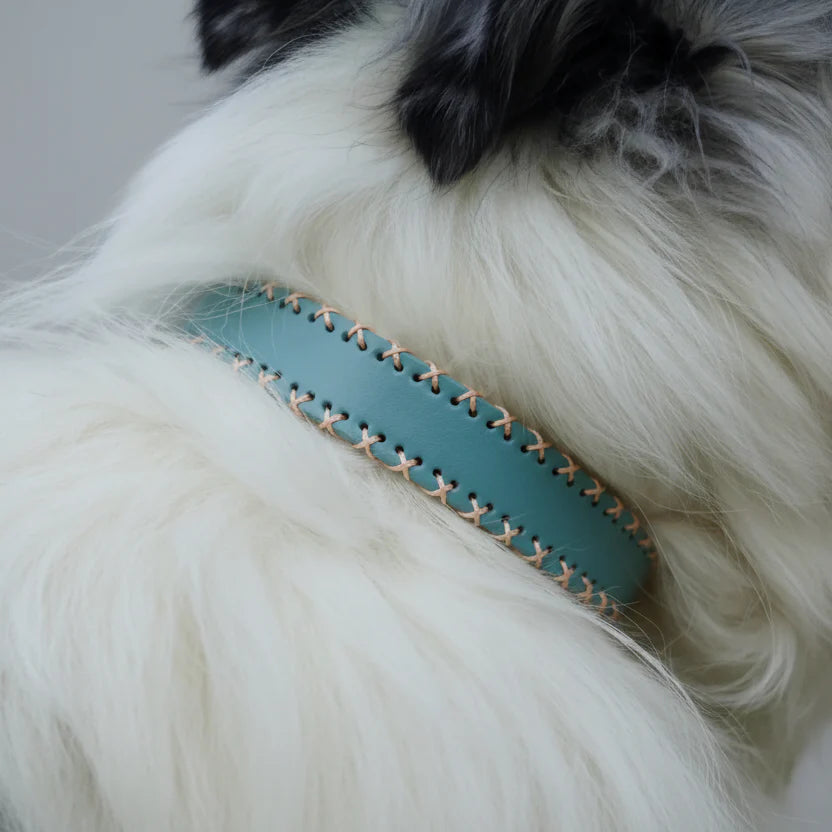 Collier En Cuir Avec Piqures Pour Chien