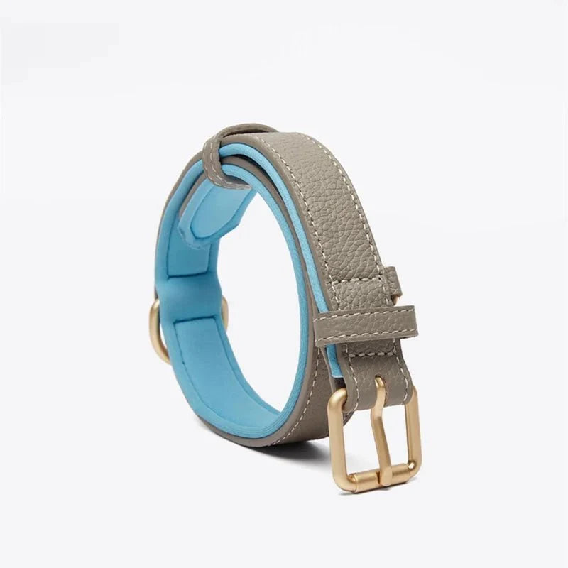 Collier en cuir pour chien Oscar et Plume gris avec intérieur bleu et boucle dorée résistante