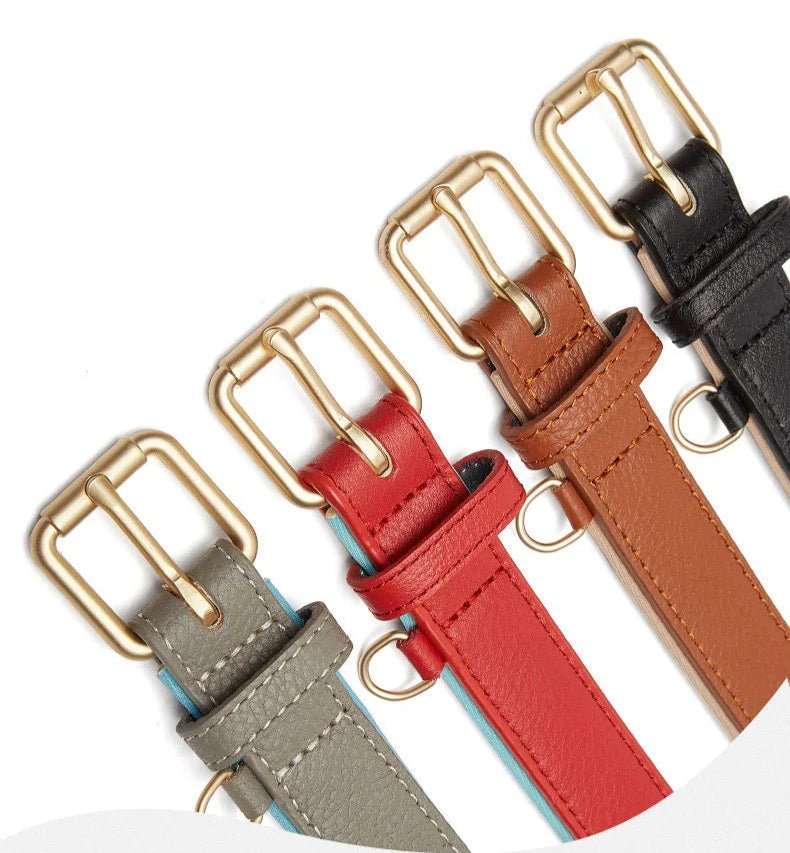 Collier En Cuir Synthétique  Pour Chien Résistant Et Design