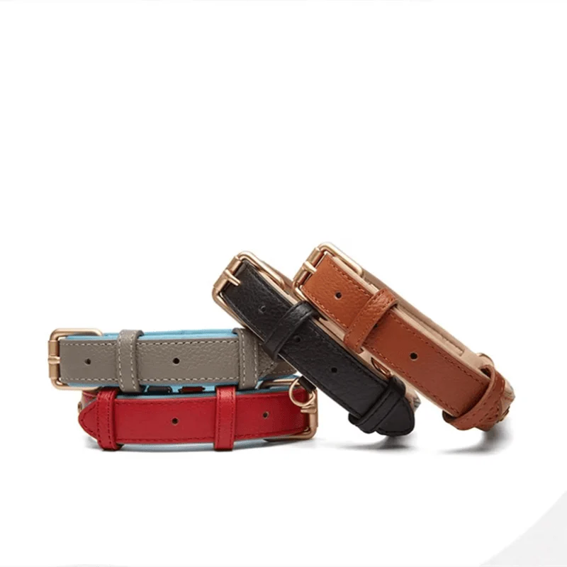 Collier En Cuir Synthétique  Pour Chien Résistant Et Design