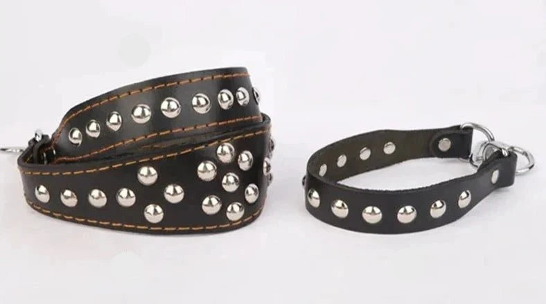 Collier en cuir pour chien noir orné de clous métalliques argentés avec boucle métallique