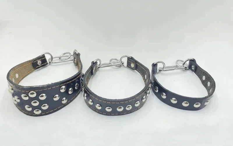 Trois colliers en cuir pour chien noirs avec clous métalliques et fermoirs solides